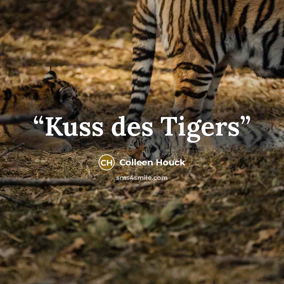 “Kuss des Tigers” quote by Colleen Houck