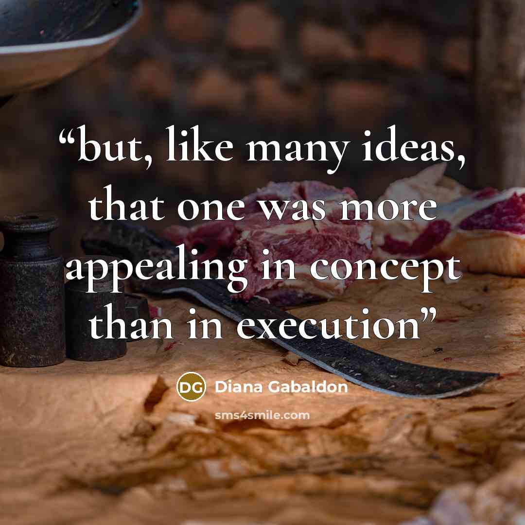 “but, like many ideas, that one was more appealing in concept than in execution” quote by Diana Gabaldon