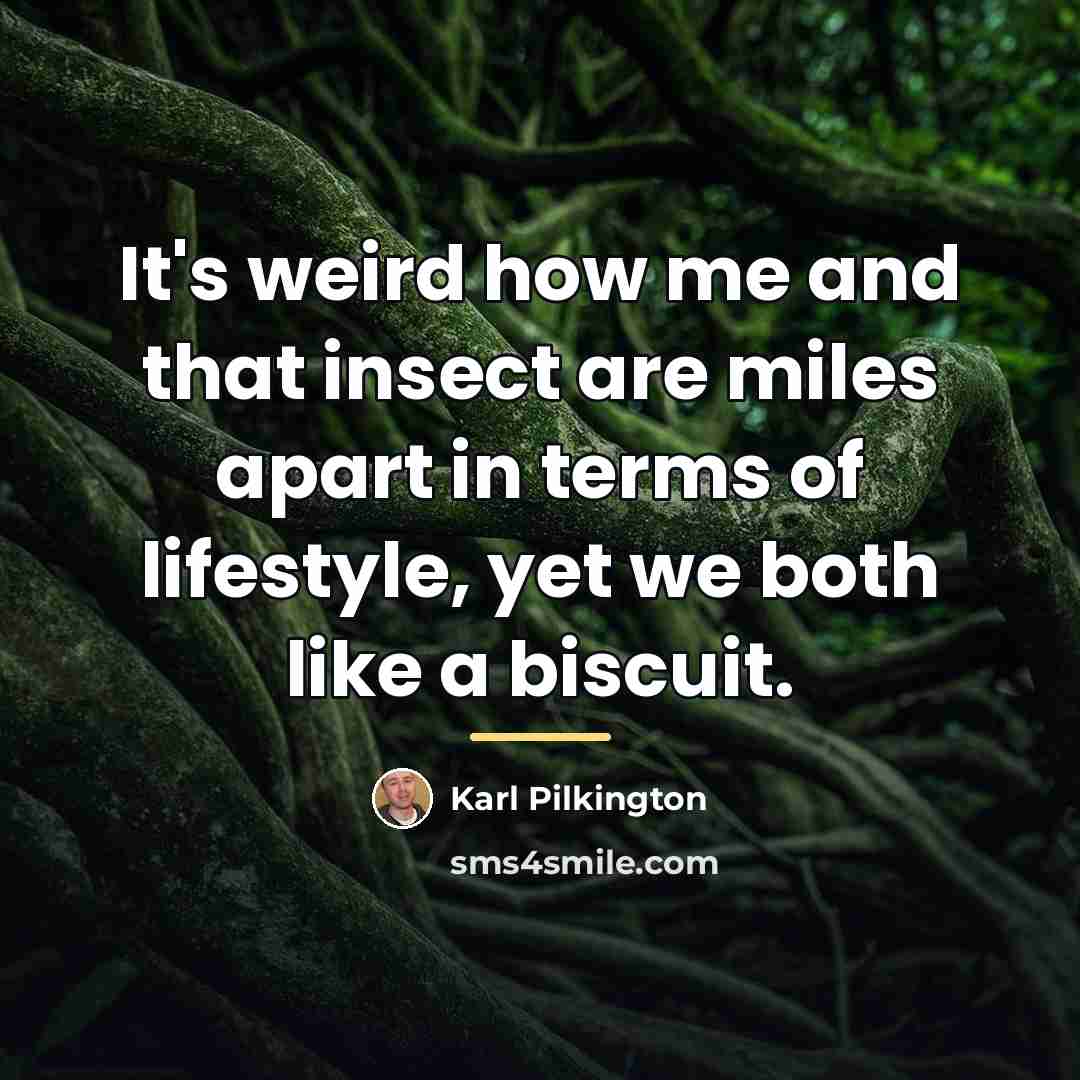 “It's weird how me and that insect are miles apart…” quote by Karl Pilkington