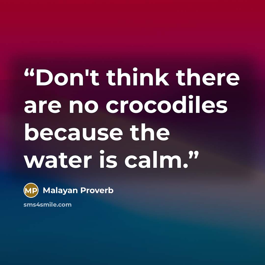 “Don't think there are no crocodiles because the water is calm.” quote by Malayan Proverb