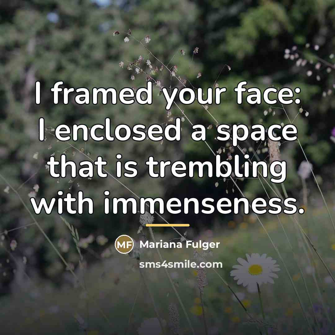 “I framed your face: I enclosed a space that is…” quote by Mariana Fulger