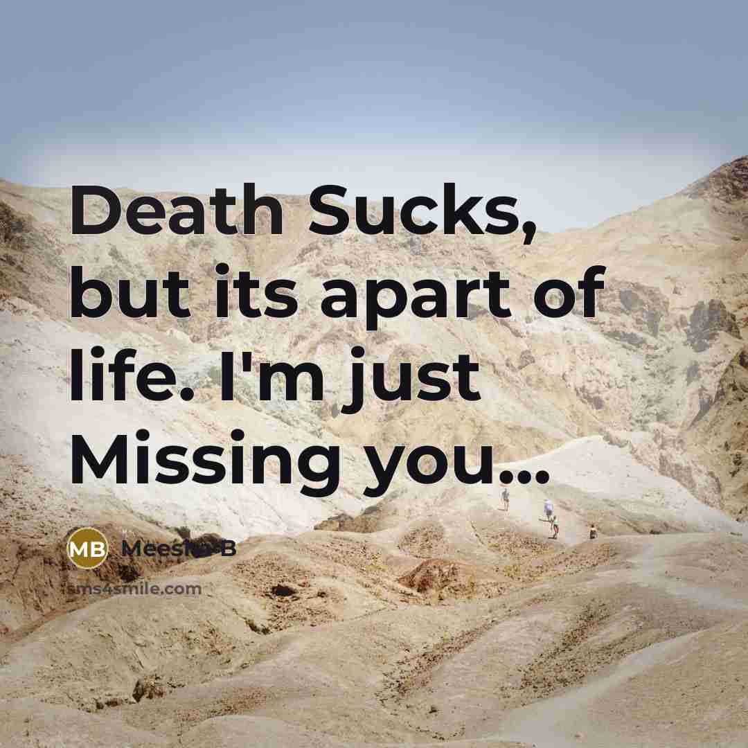 “Death Sucks, but its apart of life. I'm just Missing…” quote by Meesha B