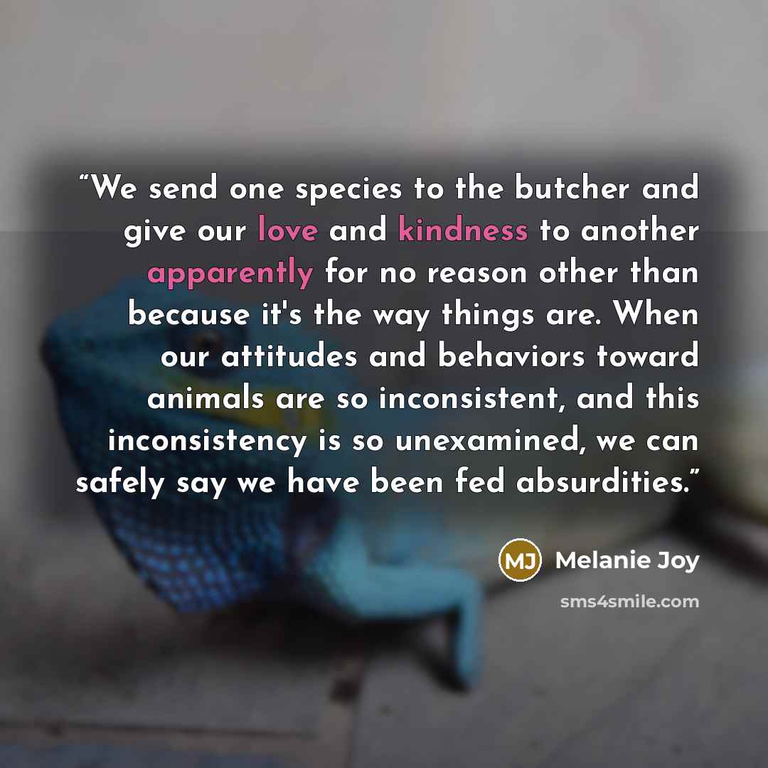 “We send one species to the butcher and give our love and kindness to another apparently for no reason other than because it's the way things are. When our attitudes and behaviors toward animals are so inconsistent, and this inconsistency is so unexamined, we can safely say we have been fed…” quote by Melanie Joy
