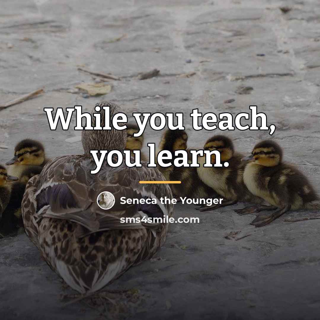“While you teach, you learn.…” quote by Seneca the Younger