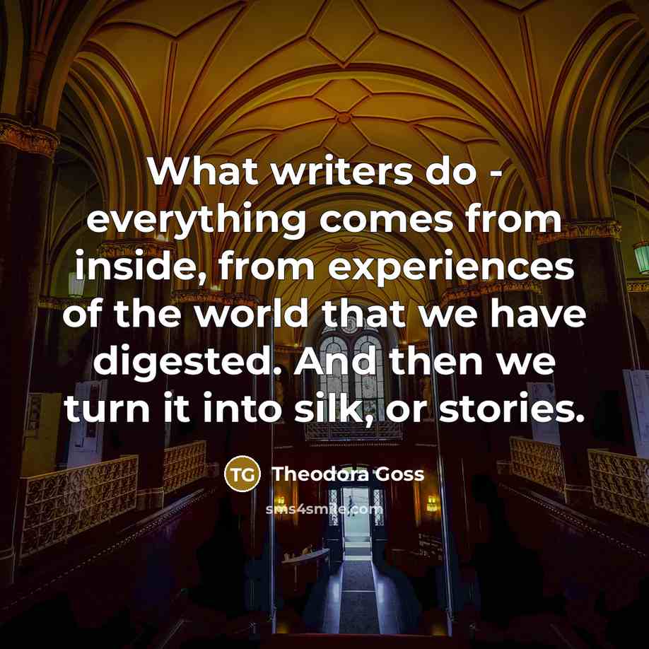 “What writers do - everything comes from inside, from experiences…” quote by Theodora Goss