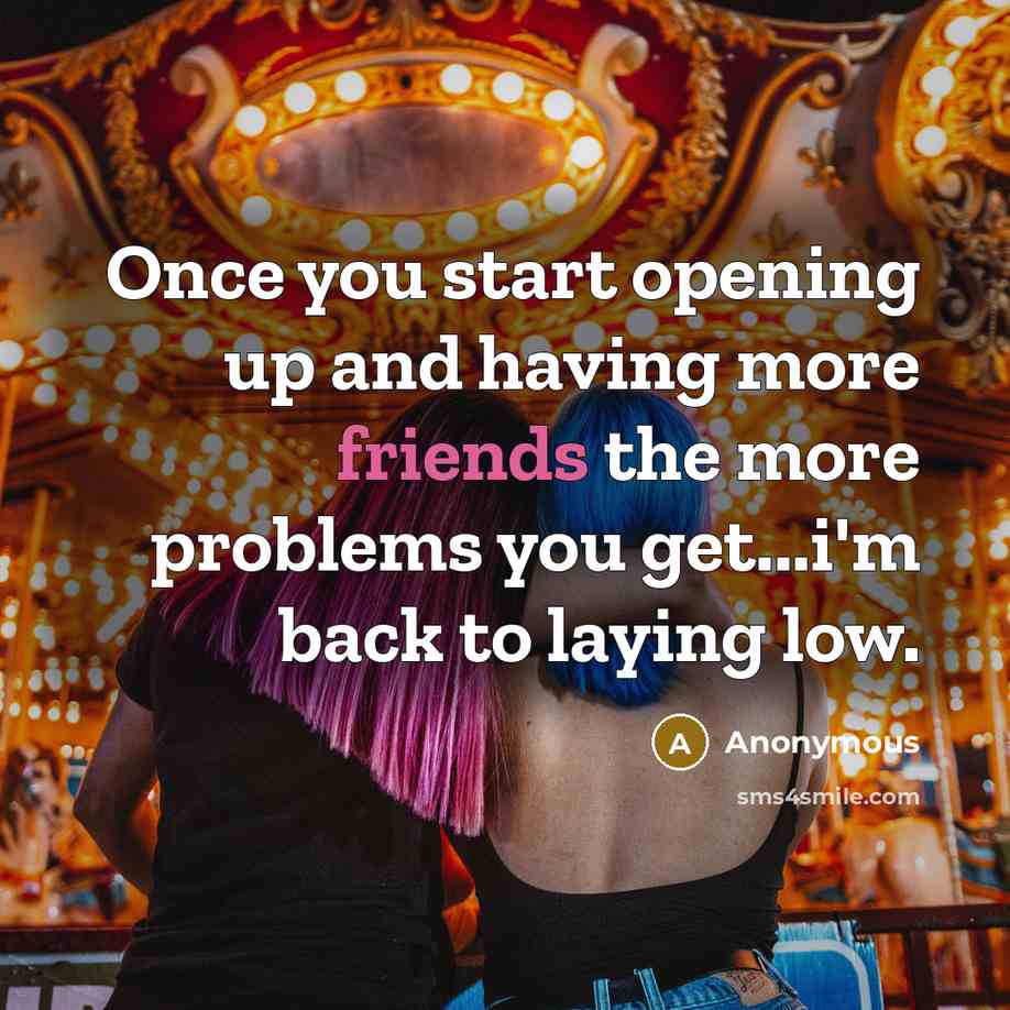 “Once you start opening up and having more friends the more problems you get...i'm back to laying low.” quote by Anonymous