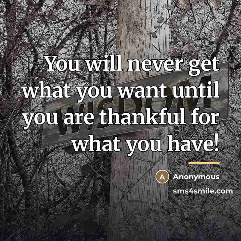 “You will never get what you want until you are…” quote by Anonymous