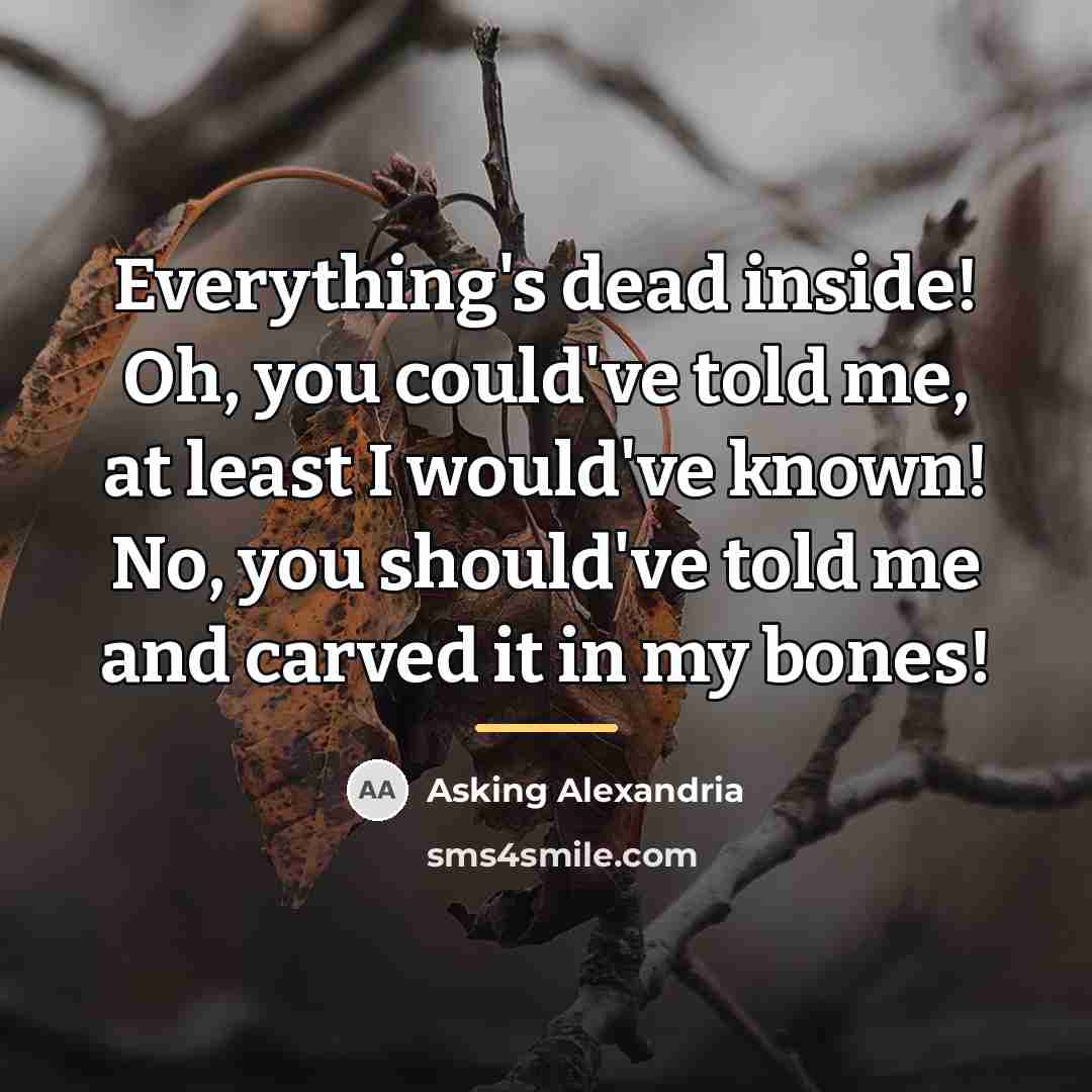 “Everything's dead inside! Oh, you could've told me, at least…” quote by Asking Alexandria
