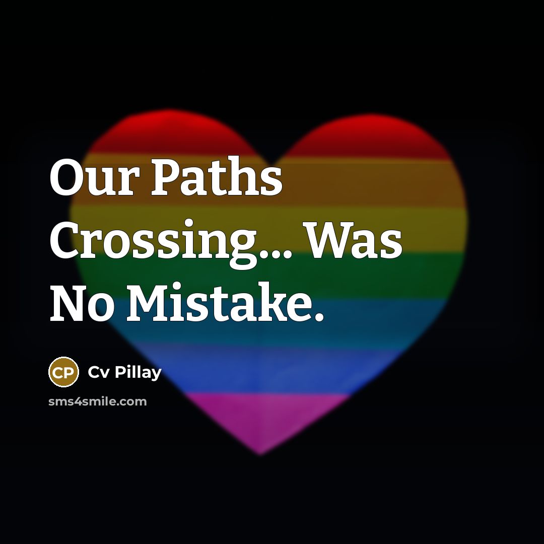 “Our Paths Crossing... Was No Mistake.…” quote by Cv Pillay