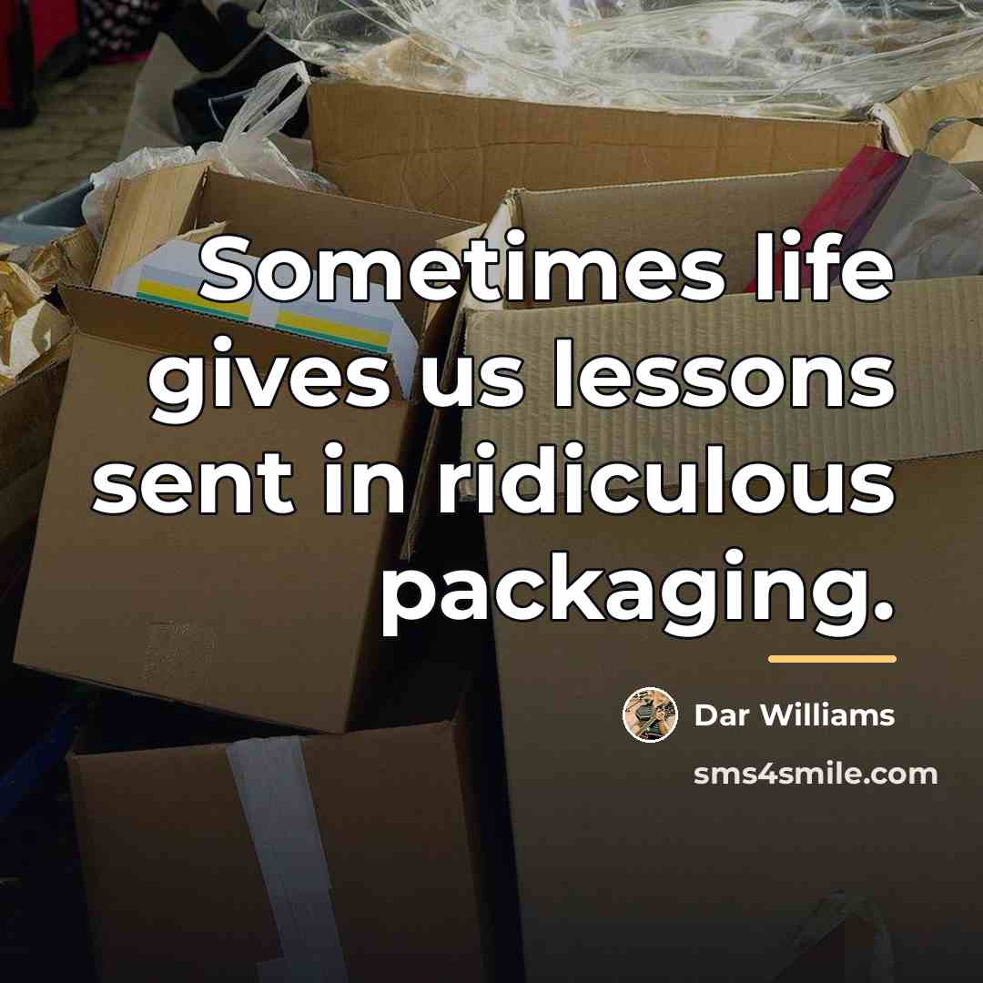 “Sometimes life gives us lessons sent in ridiculous packaging.…” quote by Dar Williams