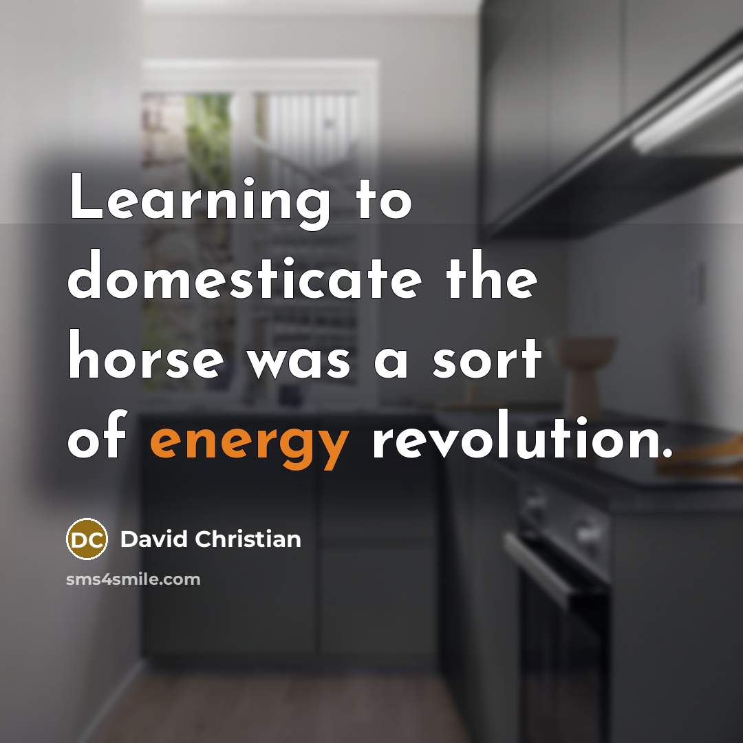 “Learning to domesticate the horse was a sort of energy…” quote by David Christian