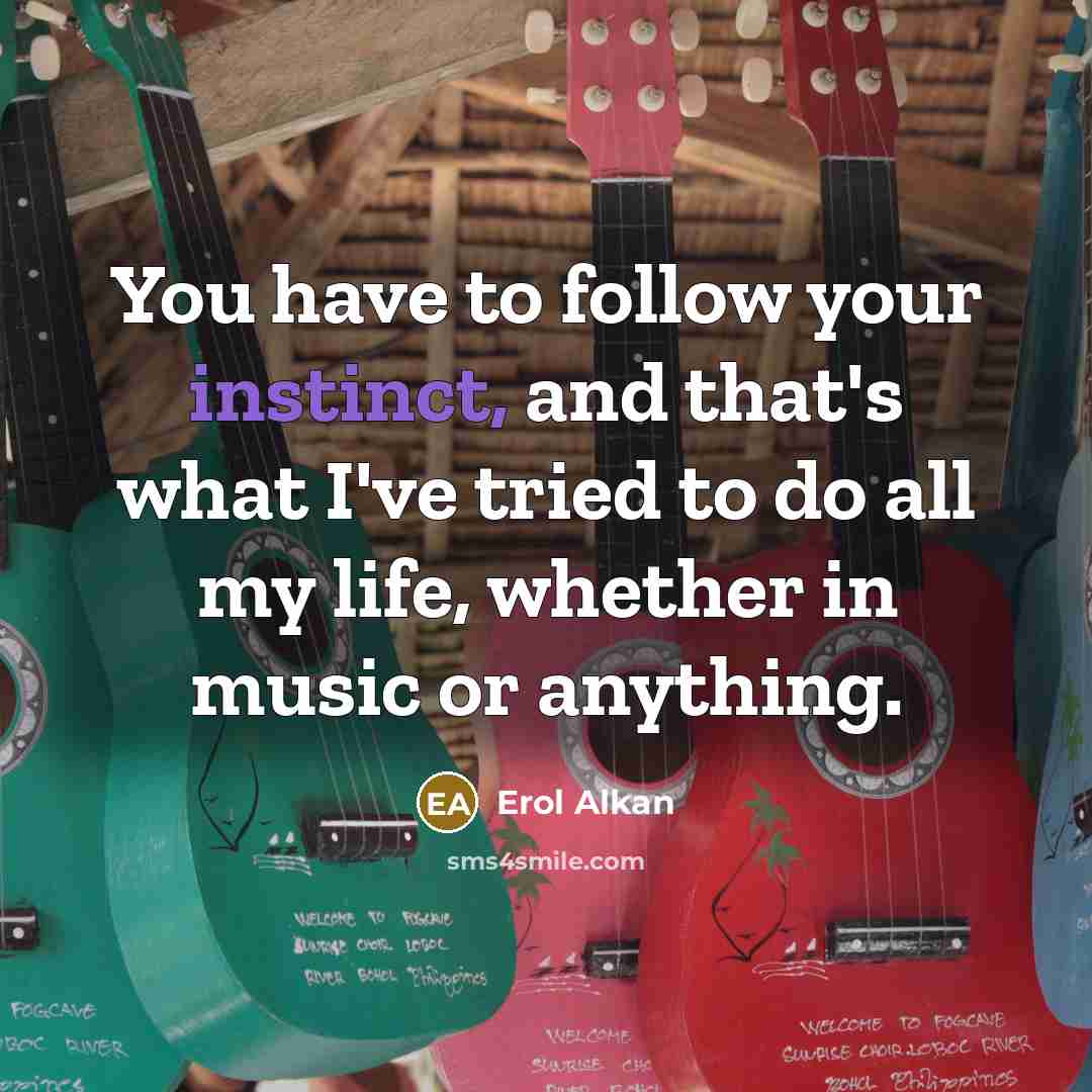 “You have to follow your instinct, and that's what I've…” quote by Erol Alkan