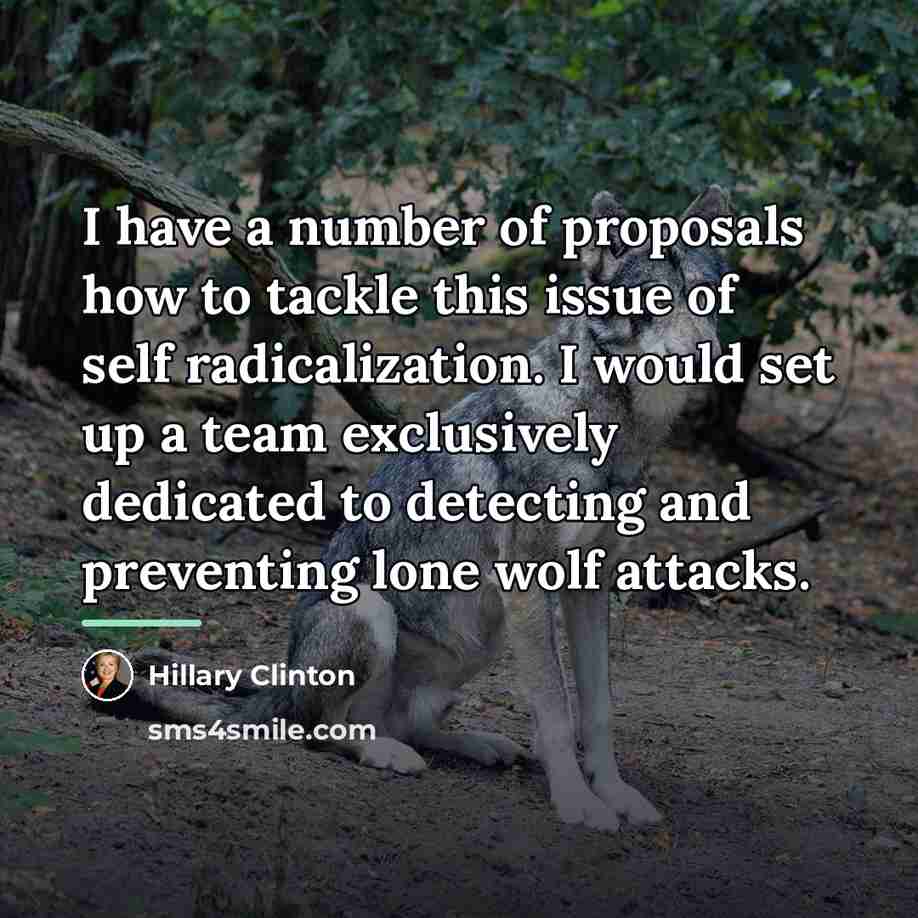 “I have a number of proposals how to tackle this…” quote by Hillary Clinton