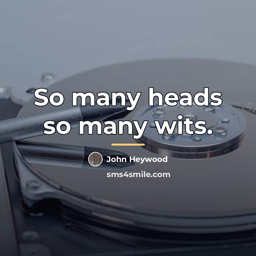 “So many heads so many wits.…” quote by John Heywood