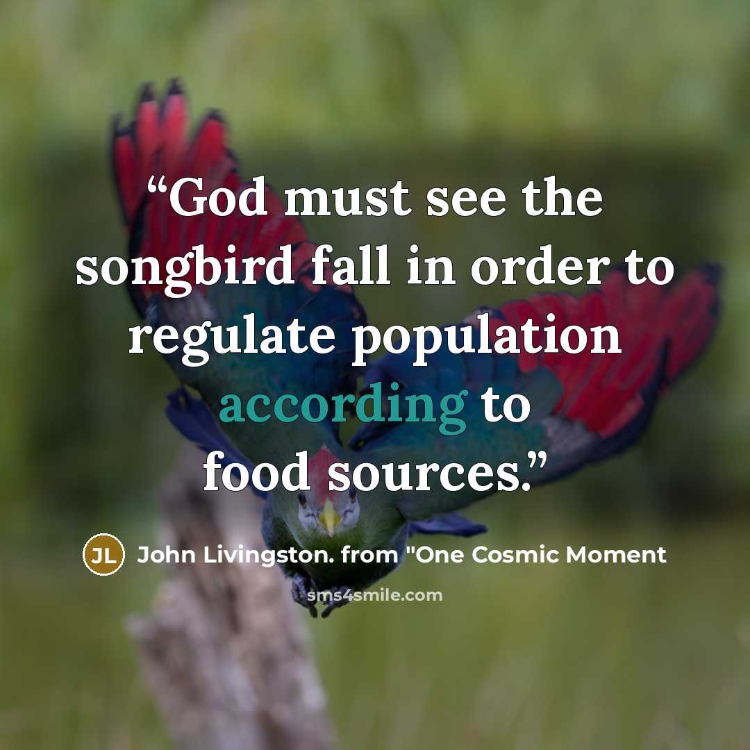 “God must see the songbird fall in order to regulate population according to food sources.” quote by John Livingston. from "One Cosmic Moment
