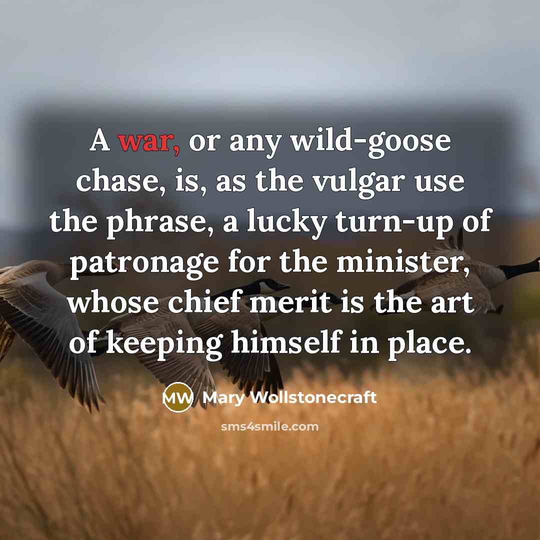 “A war, or any wild-goose chase, is, as the vulgar…” quote by Mary Wollstonecraft
