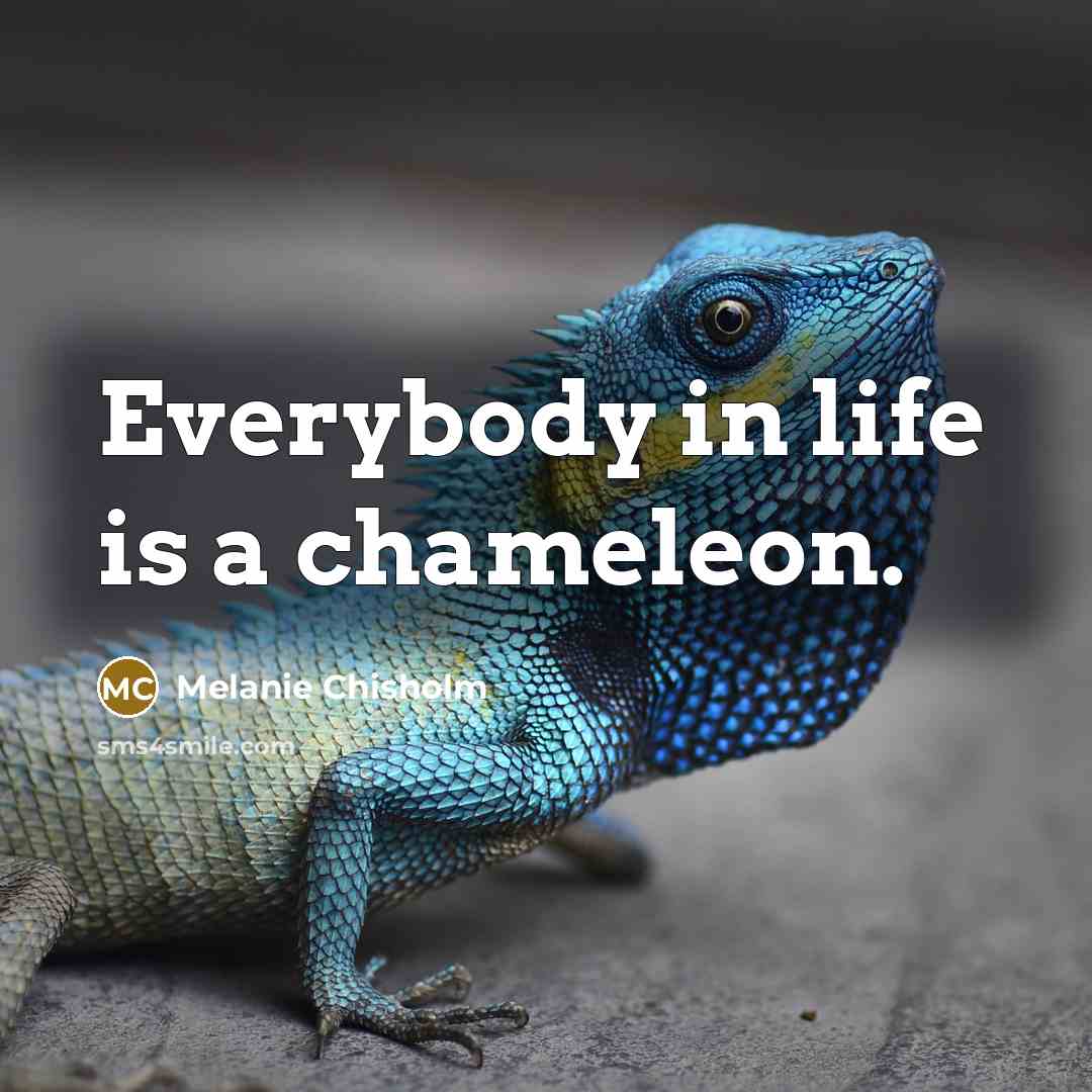 “Everybody in life is a chameleon.…” quote by Melanie Chisholm