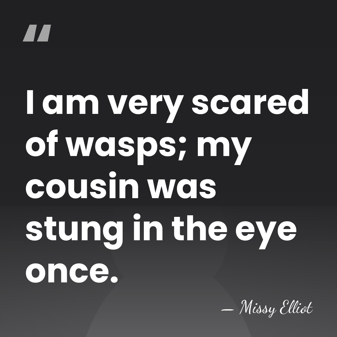 I am very scared of wasps; my cousin was stung in the&hellip; - Missy Elliot