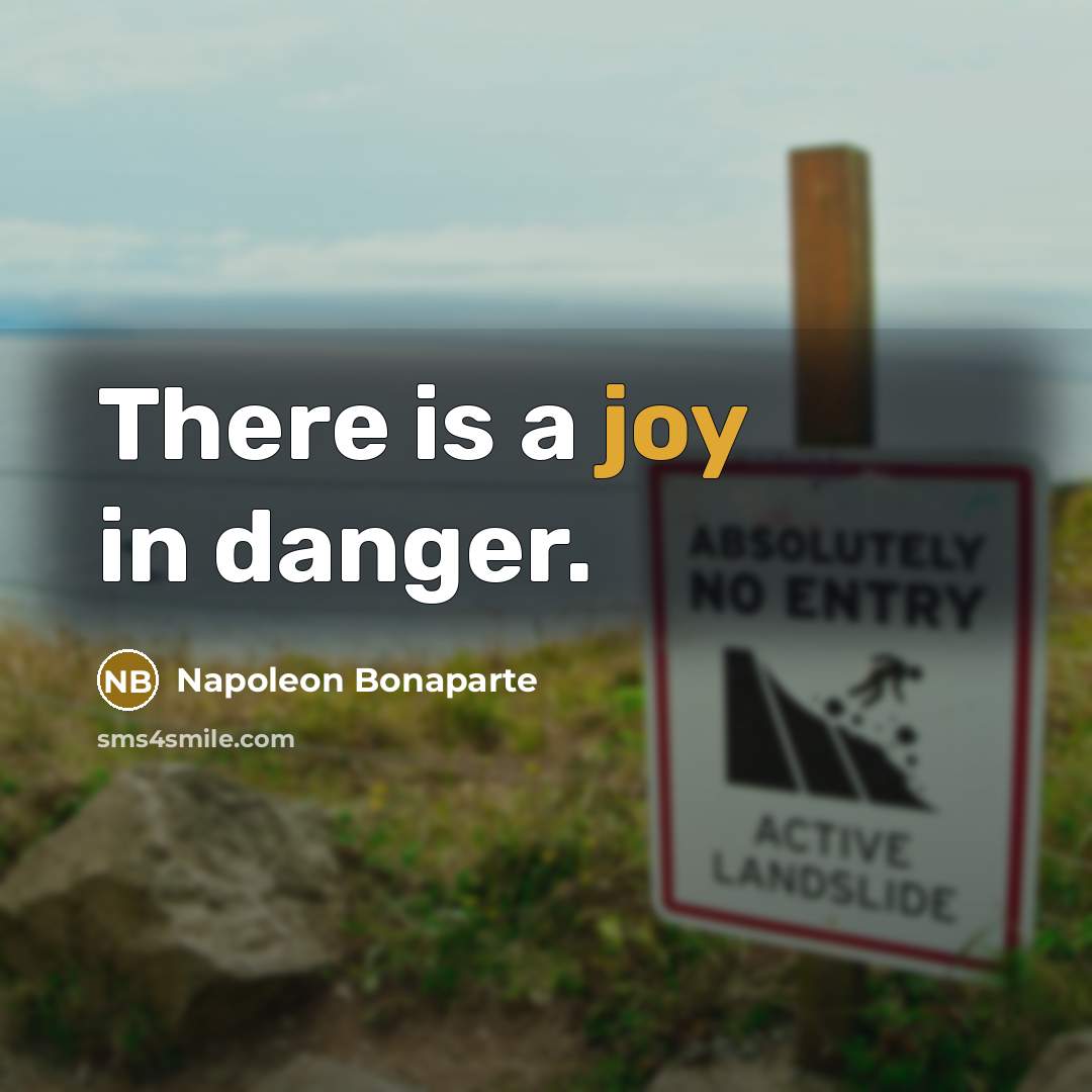 “There is a joy in danger.…” quote by Napoleon Bonaparte