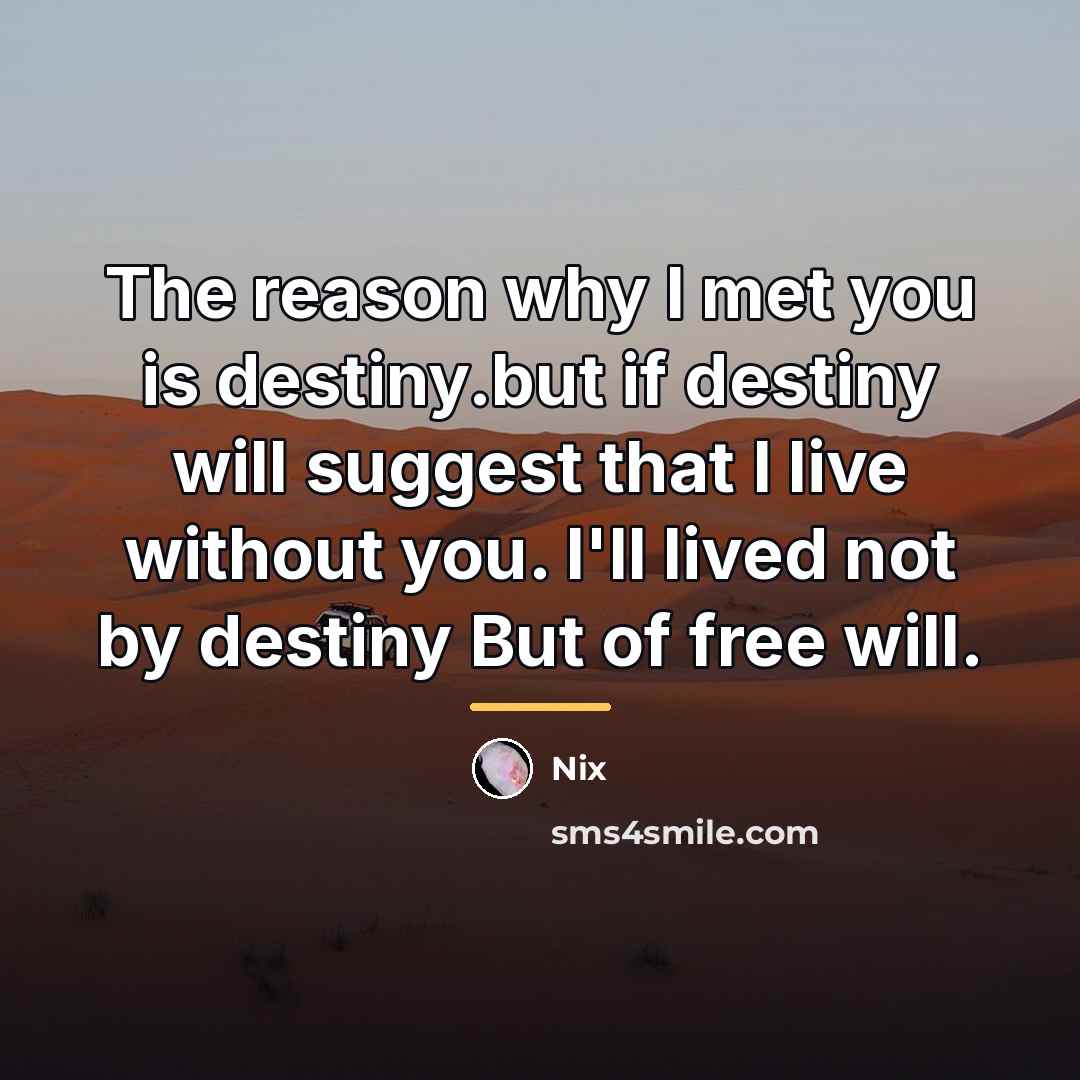 “The reason why I met you is destiny.but if destiny…” quote by Nix