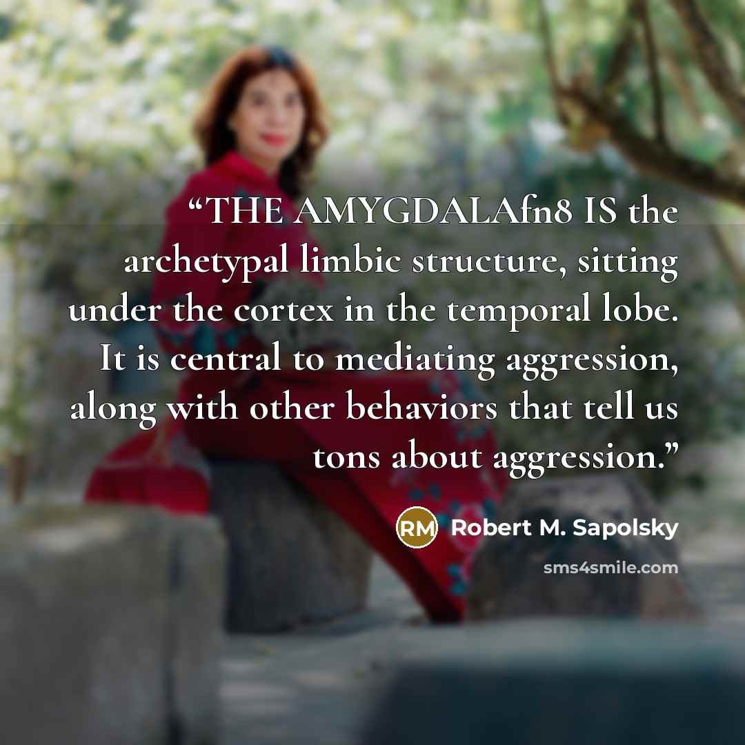 “THE AMYGDALAfn8 IS the archetypal limbic structure, sitting under the cortex in the temporal lobe. It is central to mediating aggression, along with other behaviors that tell us tons about aggression.” quote by Robert M. Sapolsky