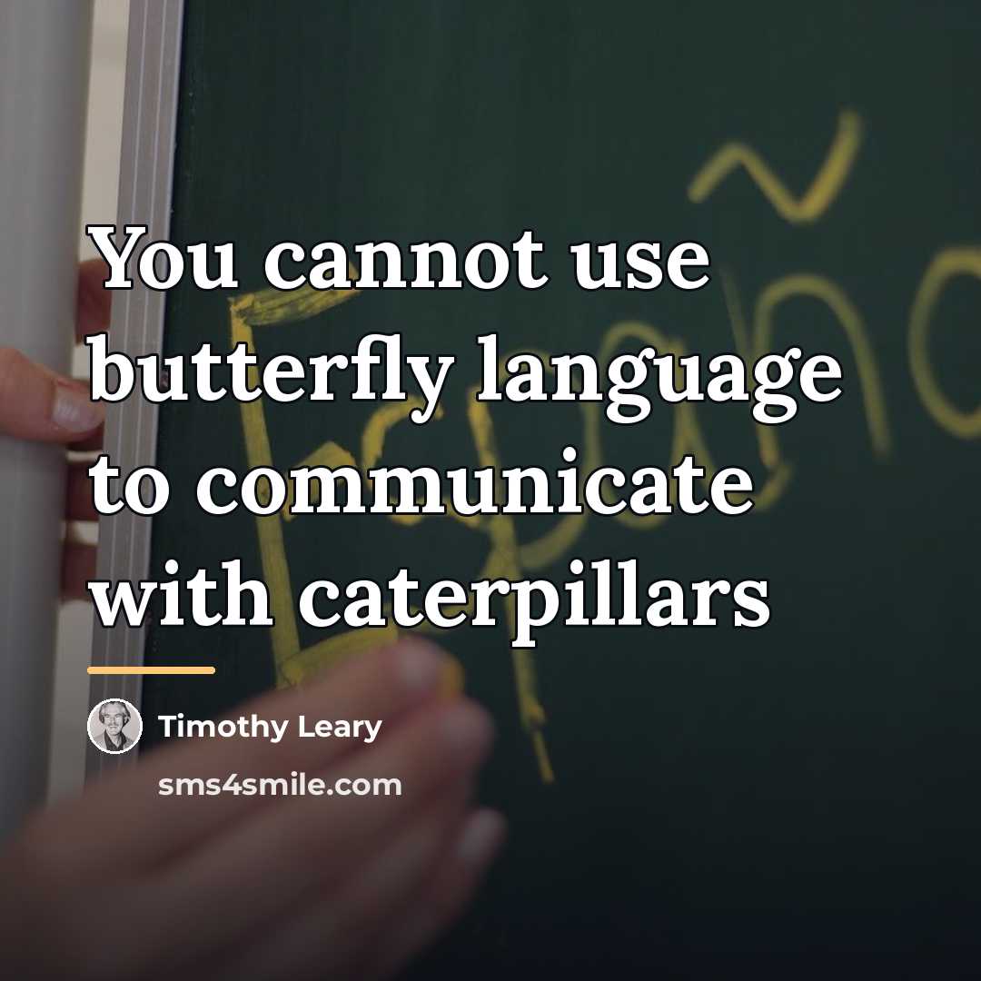 “You cannot use butterfly language to communicate with caterpillars…” quote by Timothy Leary