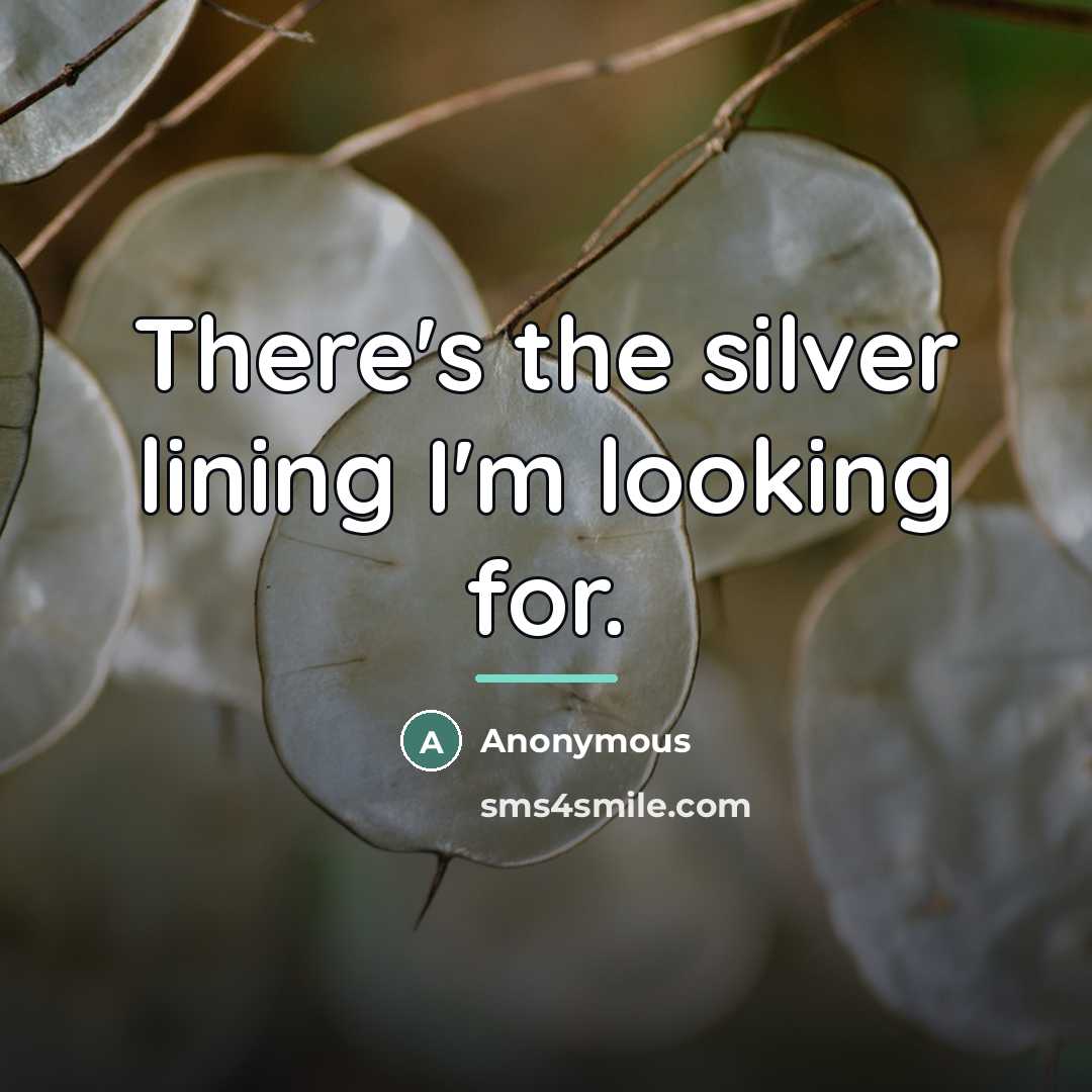 “There's the silver lining I'm looking for.…” quote by Anonymous