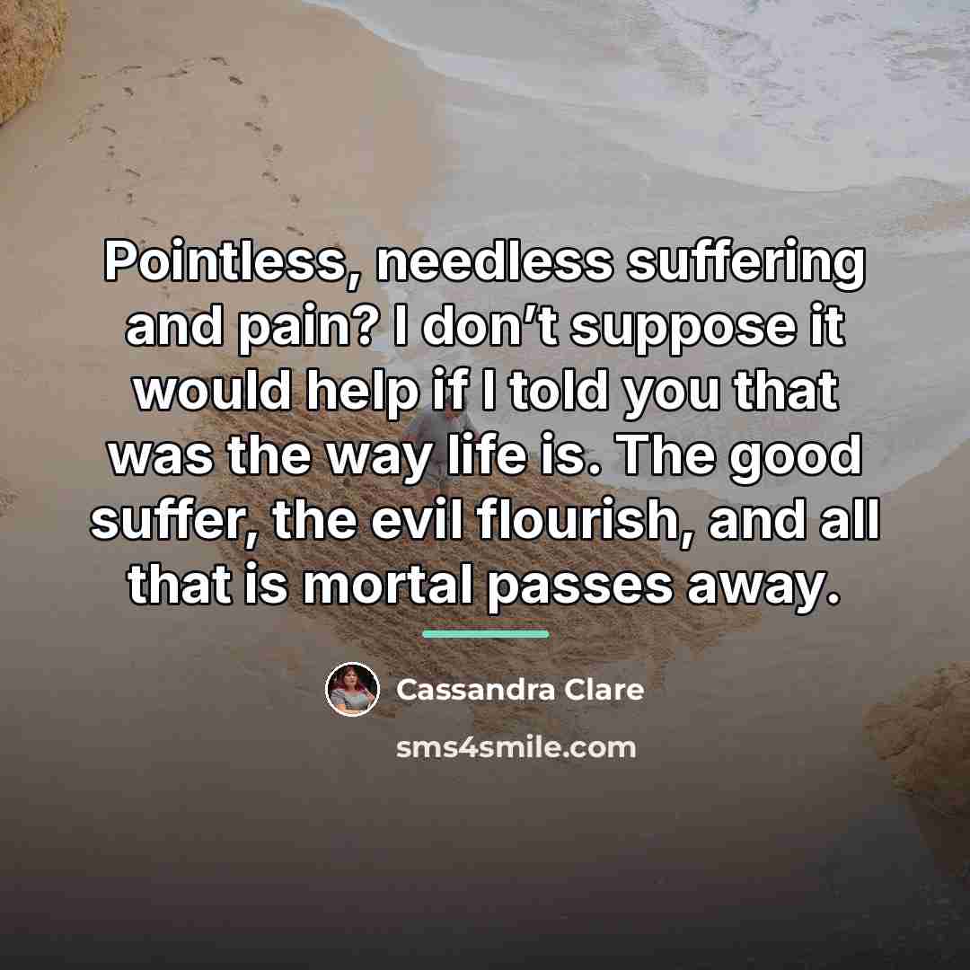 “Pointless, needless suffering and pain? I don’t suppose it would…” quote by Cassandra Clare