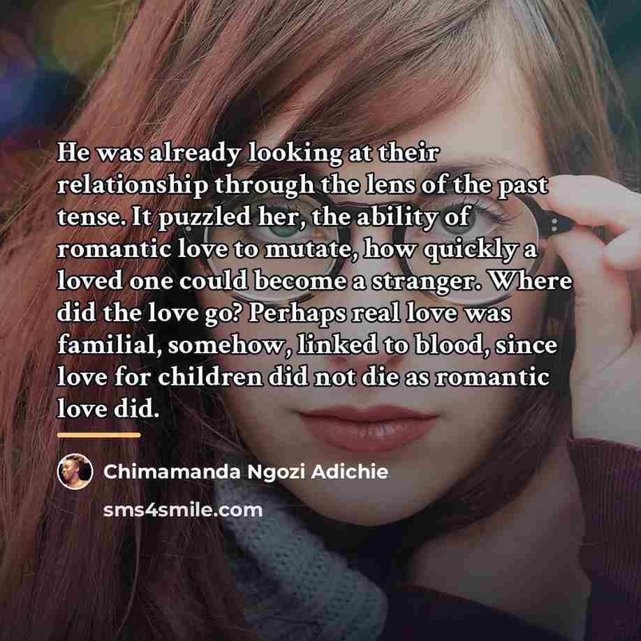 “He was already looking at their relationship through the lens…” quote by Chimamanda Ngozi Adichie