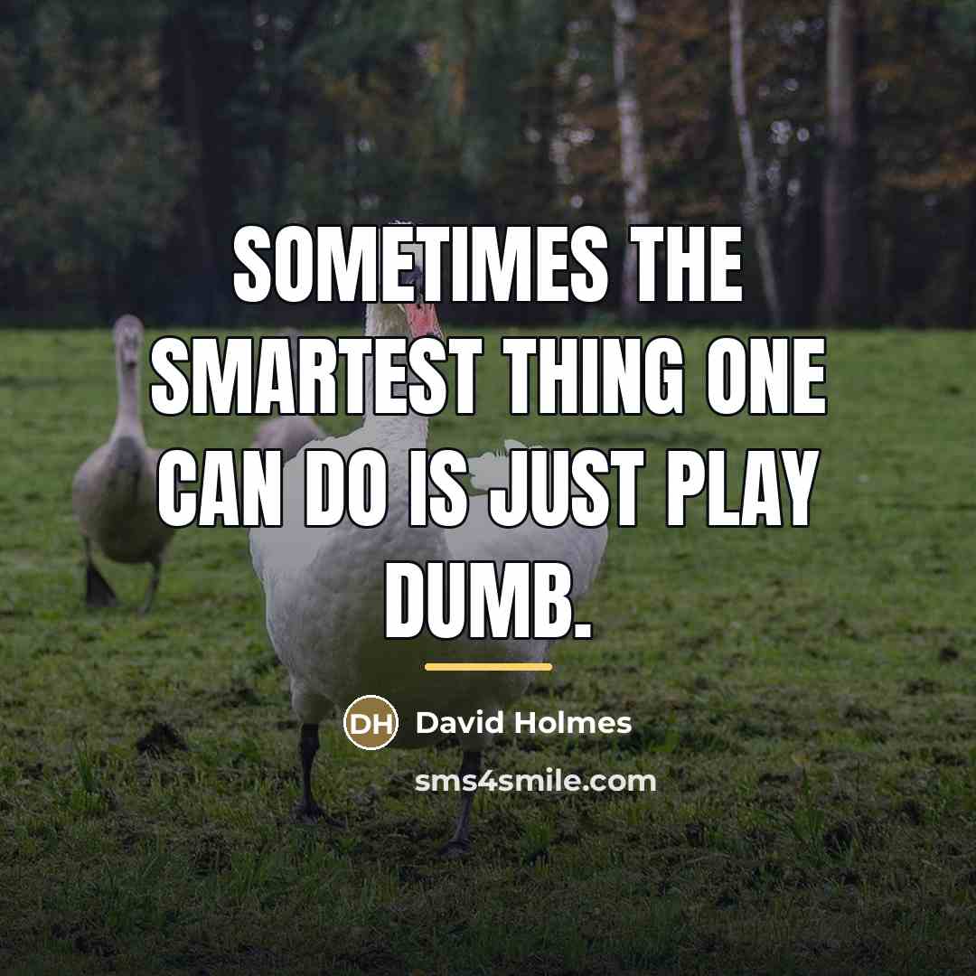 “Sometimes the smartest thing one can do is just play…” quote by David Holmes