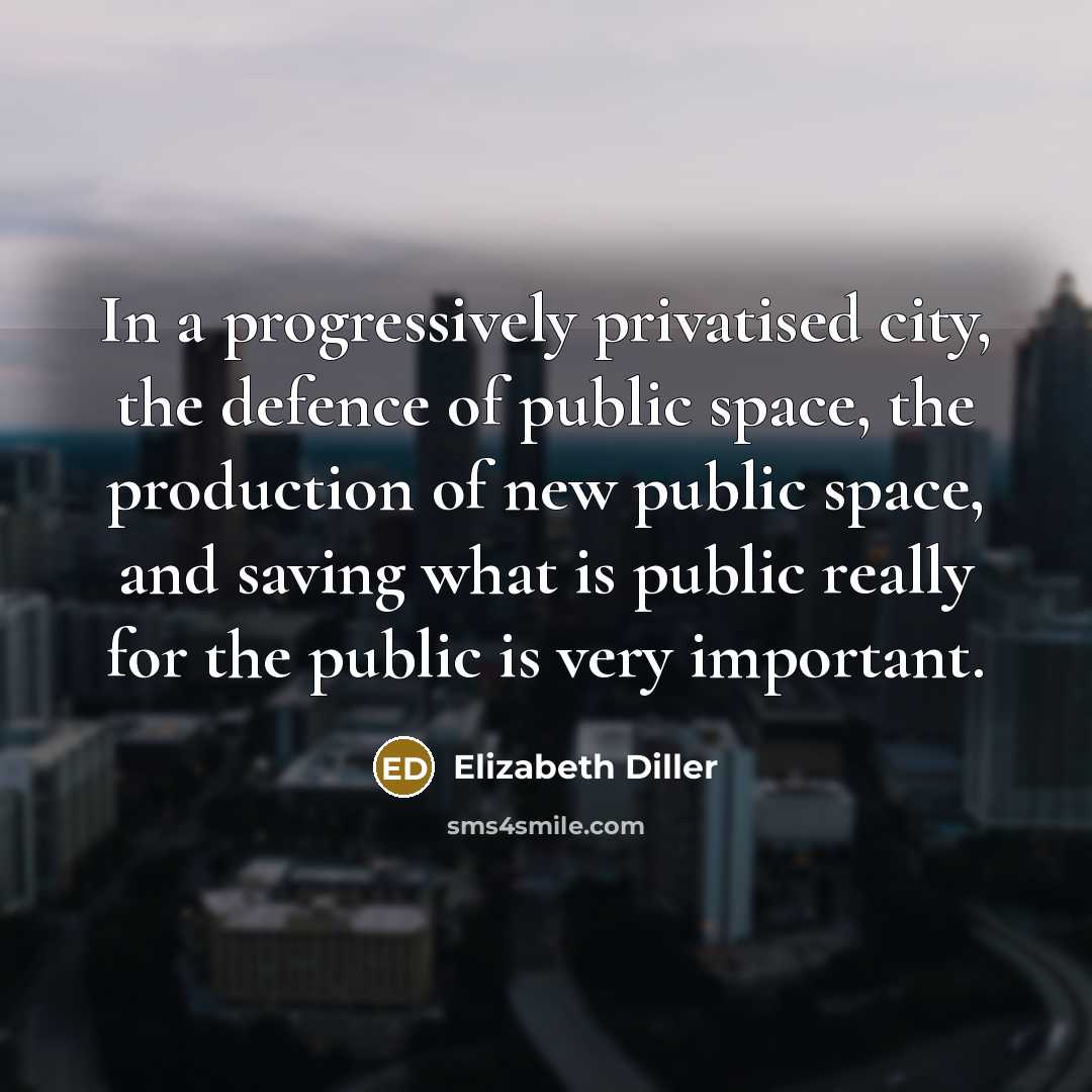 “In a progressively privatised city, the defence of public space,…” quote by Elizabeth Diller