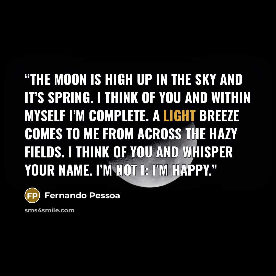 “The moon is high up in the sky and it’s spring. I think of you and within myself I’m complete. A light breeze comes to me from across the hazy fields. I think of you and whisper your name. I’m not I: I’m happy.” quote by Fernando Pessoa