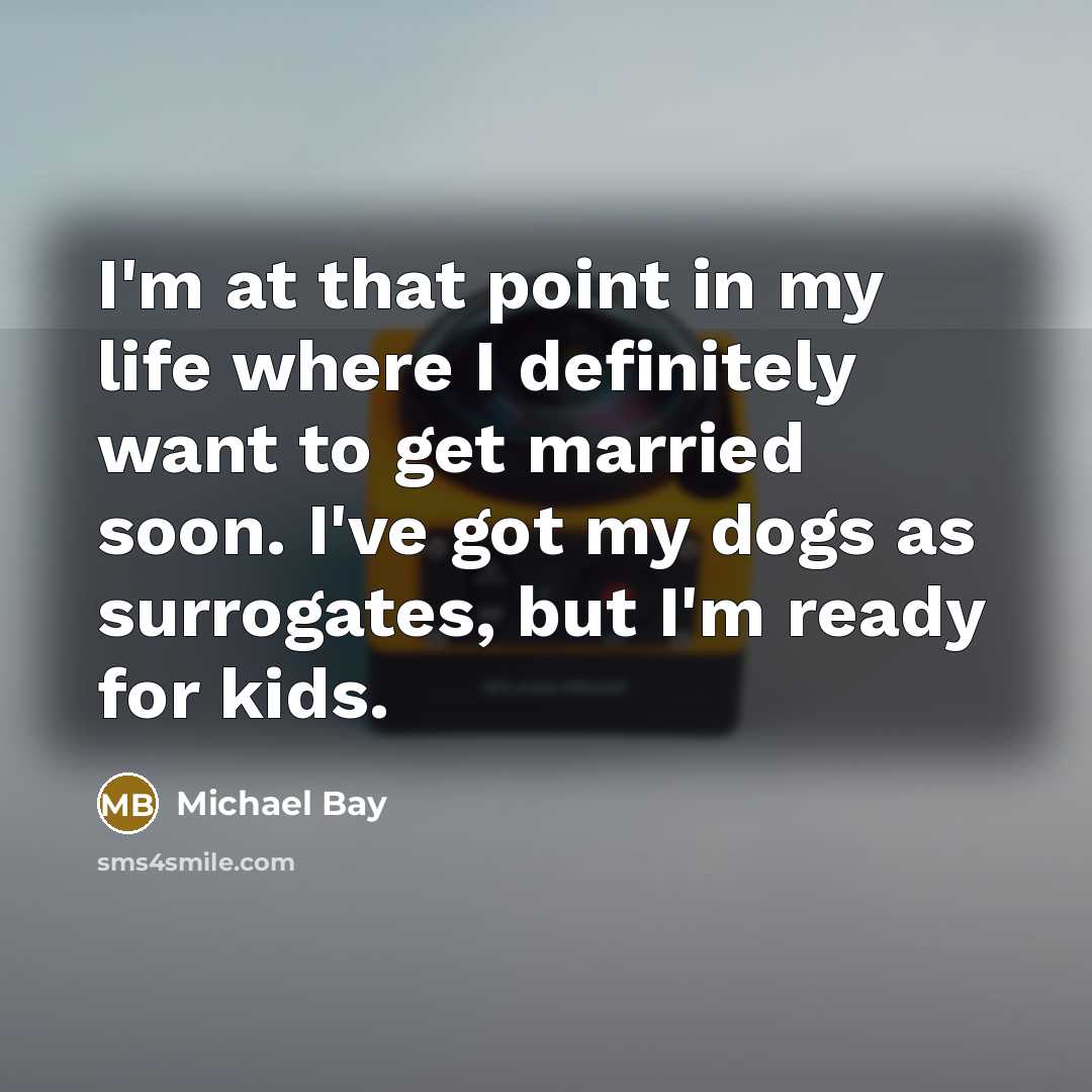 “I'm at that point in my life where I definitely…” quote by Michael Bay