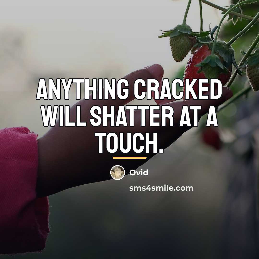 “Anything cracked will shatter at a touch.…” quote by Ovid