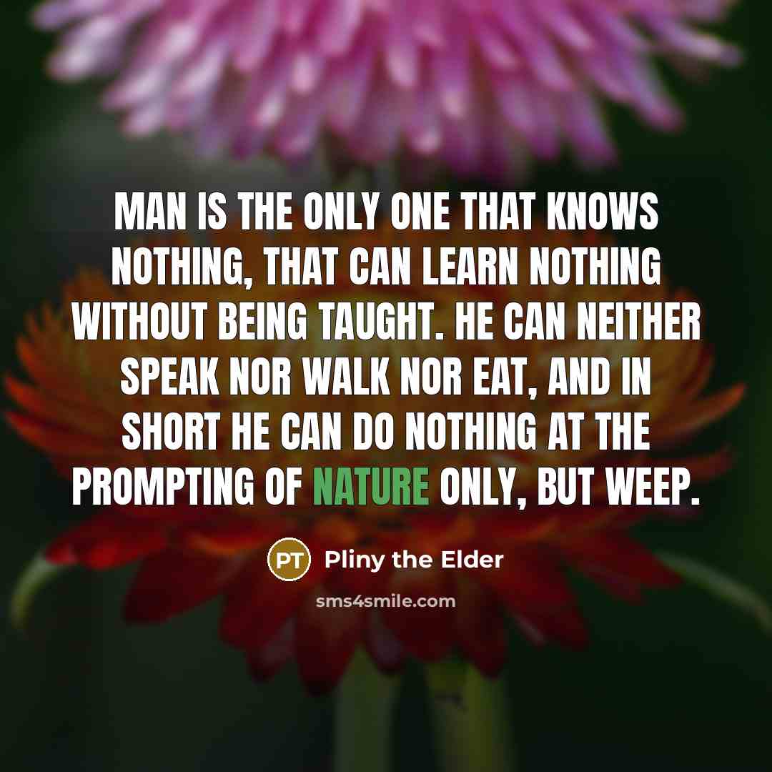 “Man is the only one that knows nothing, that can…” quote by Pliny the Elder