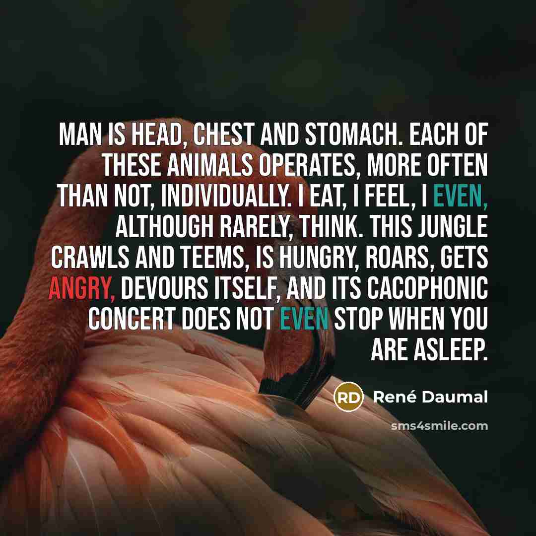 “Man is head, chest and stomach. Each of these animals…” quote by Rene Daumal