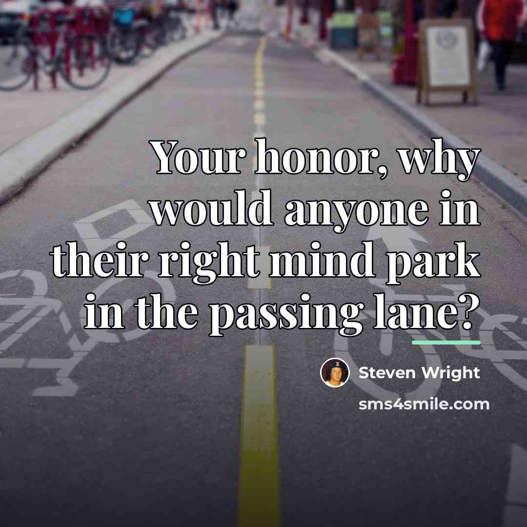 “Your honor, why would anyone in their right mind park…” quote by Steven Wright