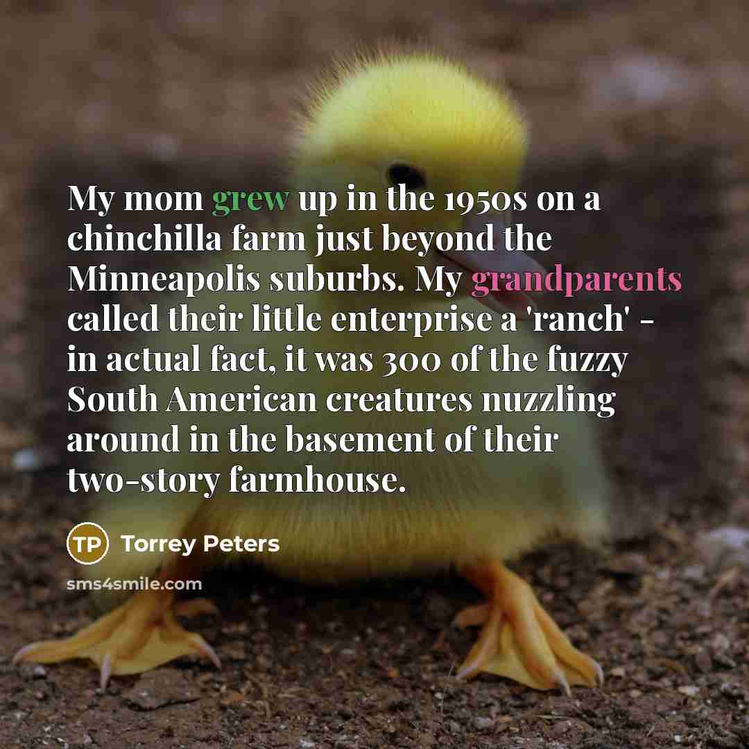 “My mom grew up in the 1950s on a chinchilla…” quote by Torrey Peters