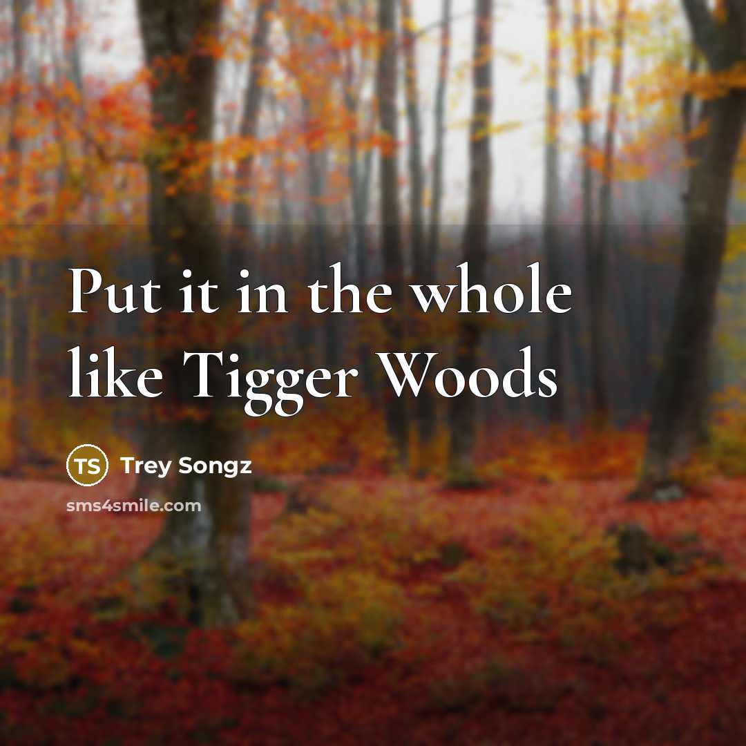 “Put it in the whole like Tigger Woods…” quote by Trey Songz