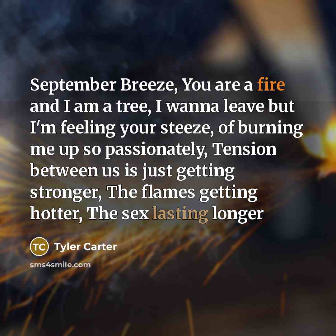 “September Breeze, You are a fire and I am a…” quote by Tyler Carter