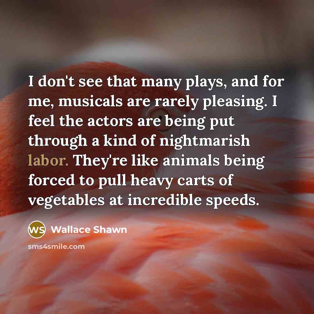 “I don't see that many plays, and for me, musicals…” quote by Wallace Shawn