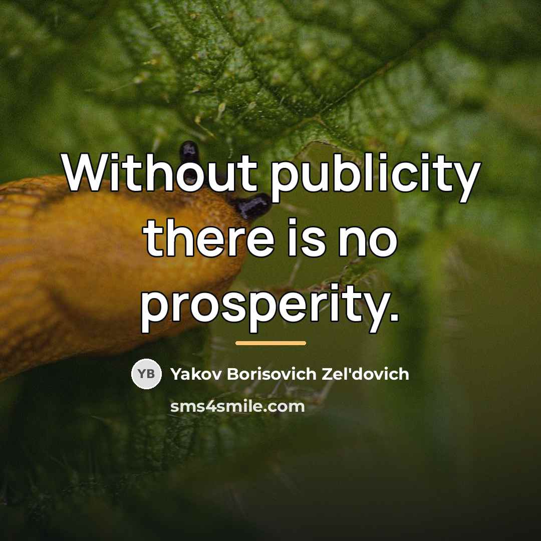 “Without publicity there is no prosperity.…” quote by Yakov Borisovich Zel'dovich