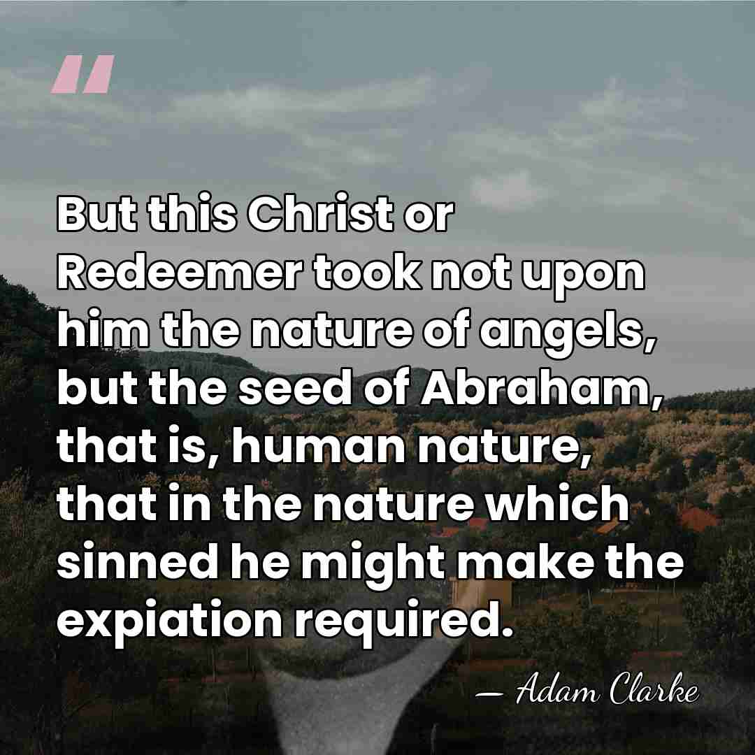 But this Christ or Redeemer took not upon him the nature of&hellip; - Adam Clarke