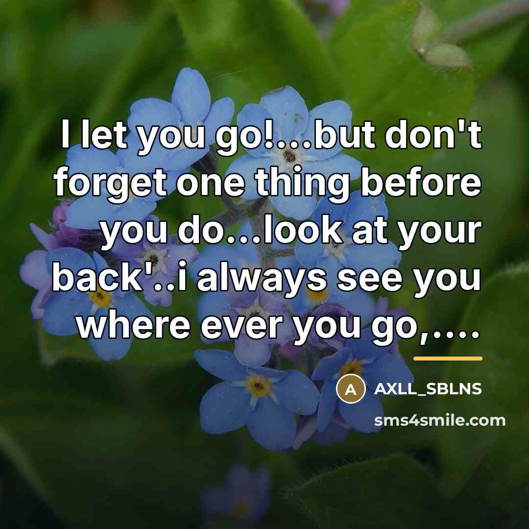 “I let you go!...but don't forget one thing before you…” quote by AXLL_SBLNS
