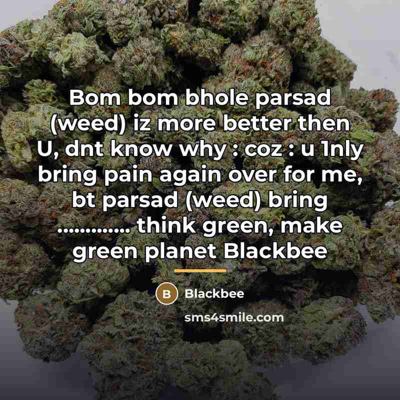 “Bom bom bhole parsad (weed) iz more better then U,…” quote by Blackbee
