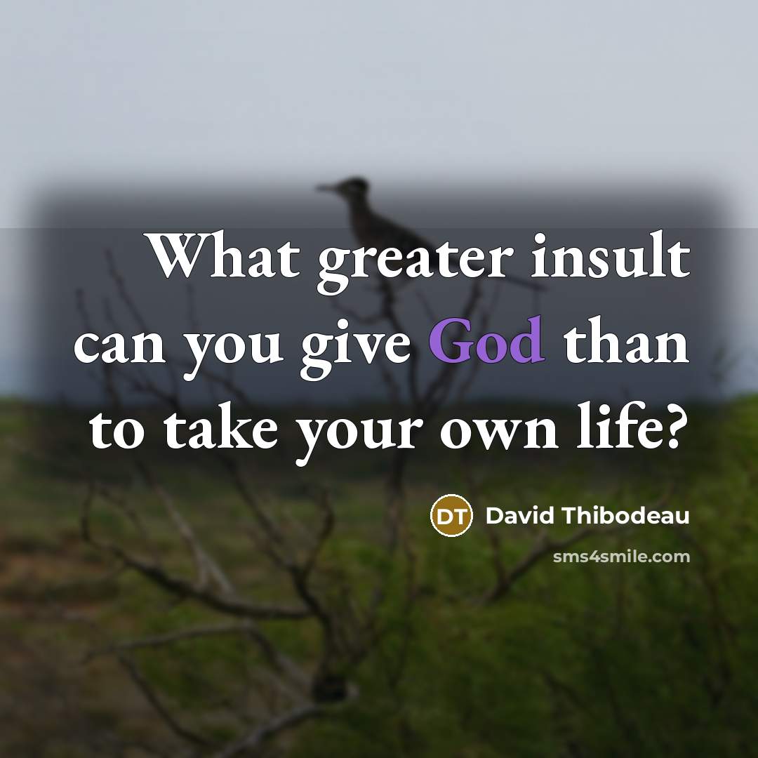 “What greater insult can you give God than to take…” quote by David Thibodeau