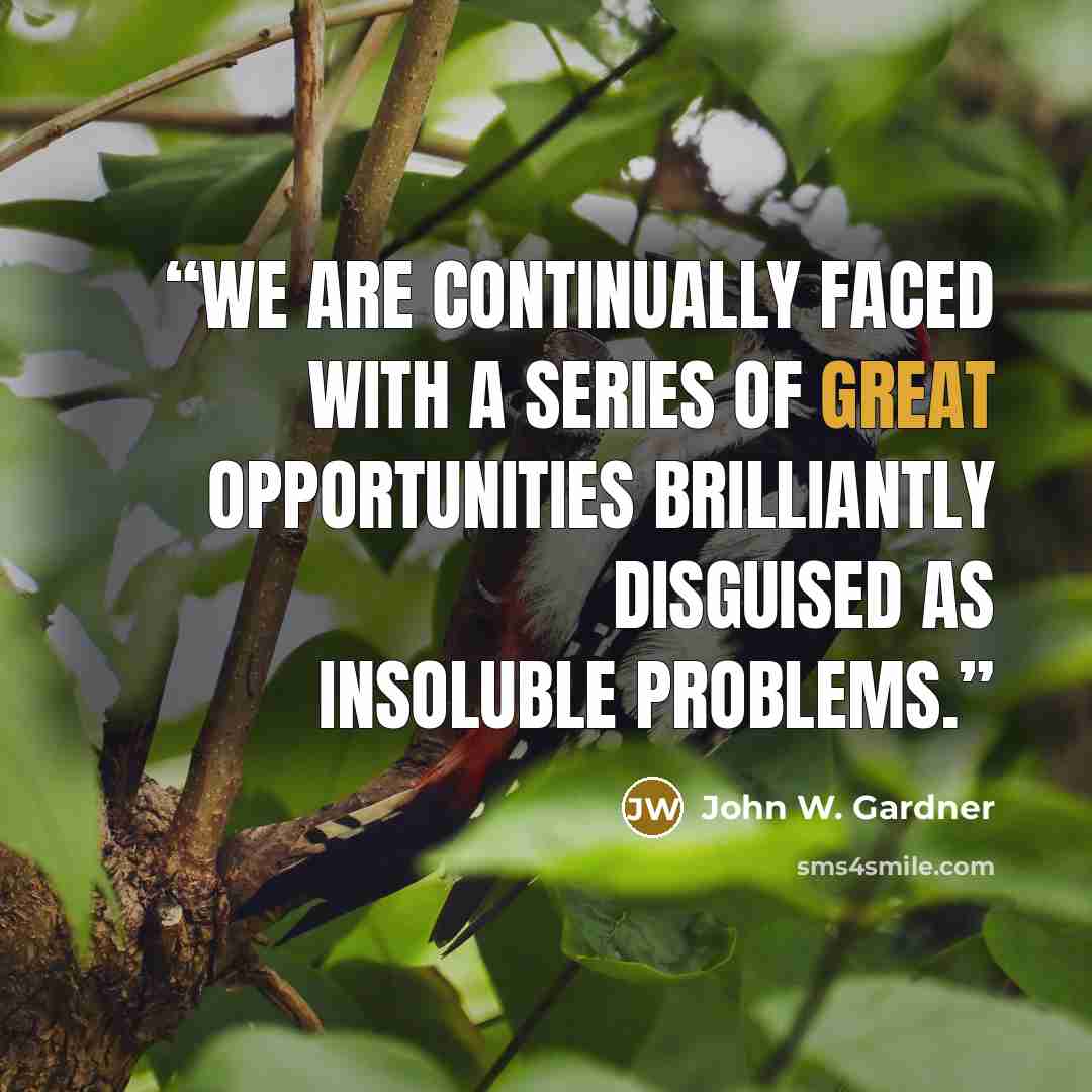 “We are continually faced with a series of great opportunities brilliantly disguised as insoluble problems.” quote by John W. Gardner