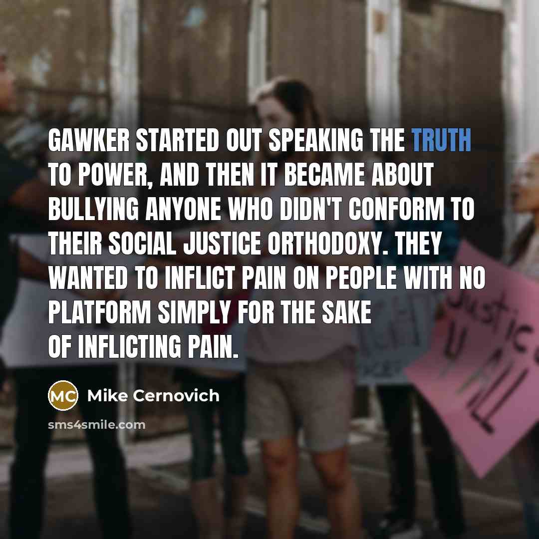 “Gawker started out speaking the truth to power, and then…” quote by Mike Cernovich