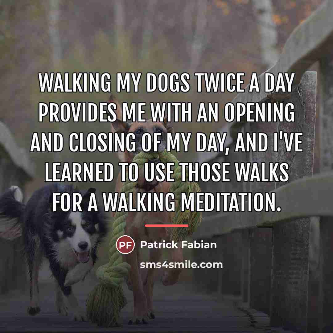 “Walking my dogs twice a day provides me with an…” quote by Patrick Fabian