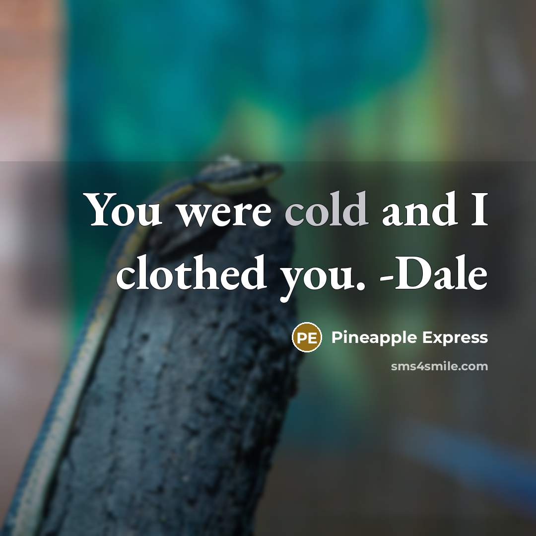 “You were cold and I clothed you. -Dale” quote by Pineapple Express